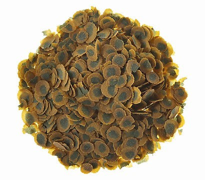 e7e65fd58c2438a110b994c336979423