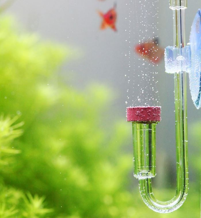 b7502ce8c4adbb3df90ce2d73bcdb89e