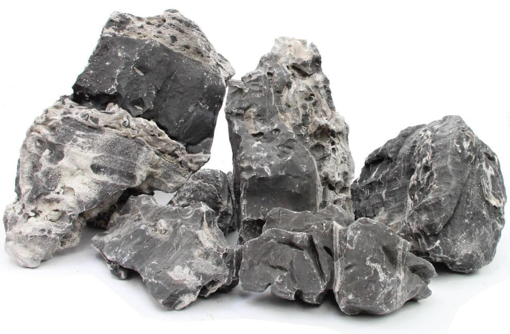 ddabf2c056f5de9d9834b6d01b3b296c