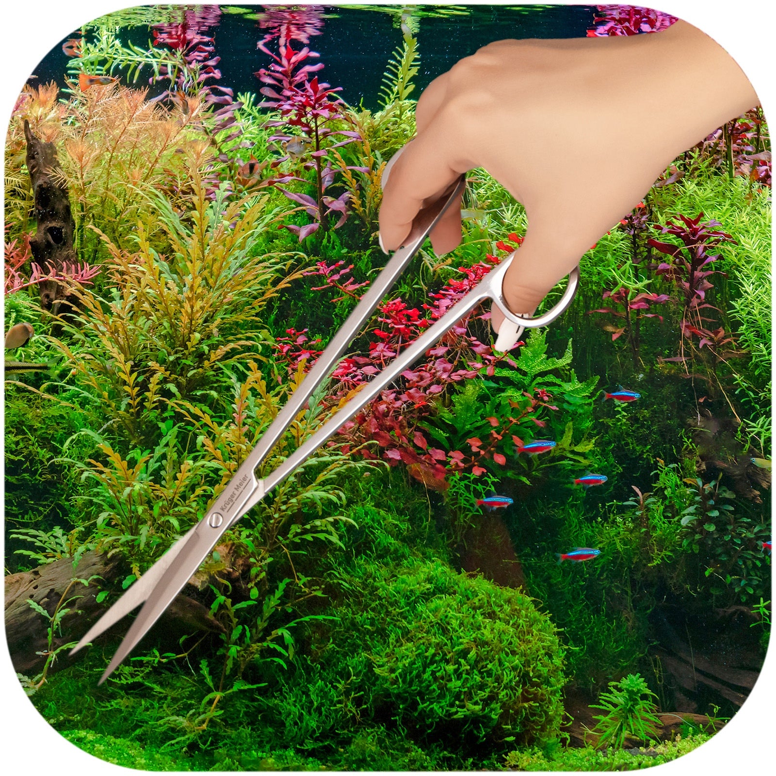 4c1ff20a77a5a0326038c4d530402887