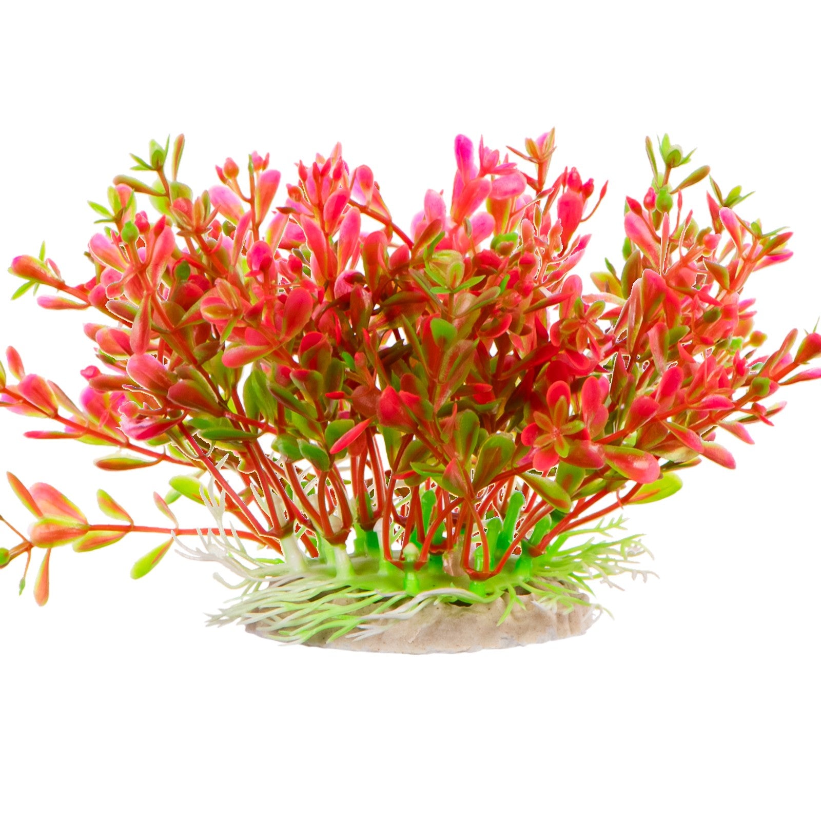 b0541703f181f5f33a89f1db5cc8c670