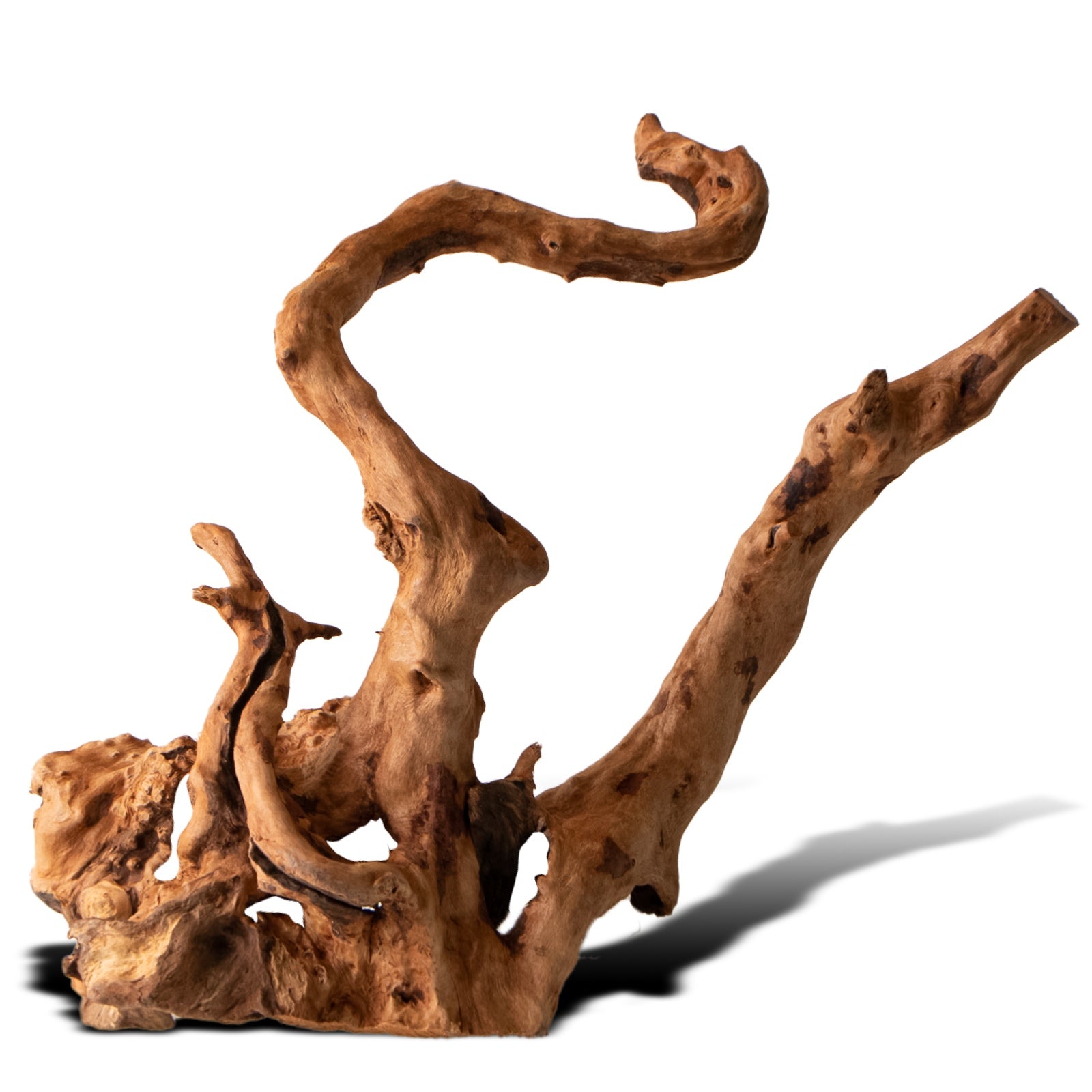 81541aaa1ec4443cefa11c841276f309