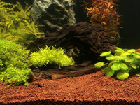 d7d91c54874aa13540706b410fe57a6a