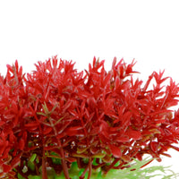 887d5af074e10454b93be17a8941d1cd