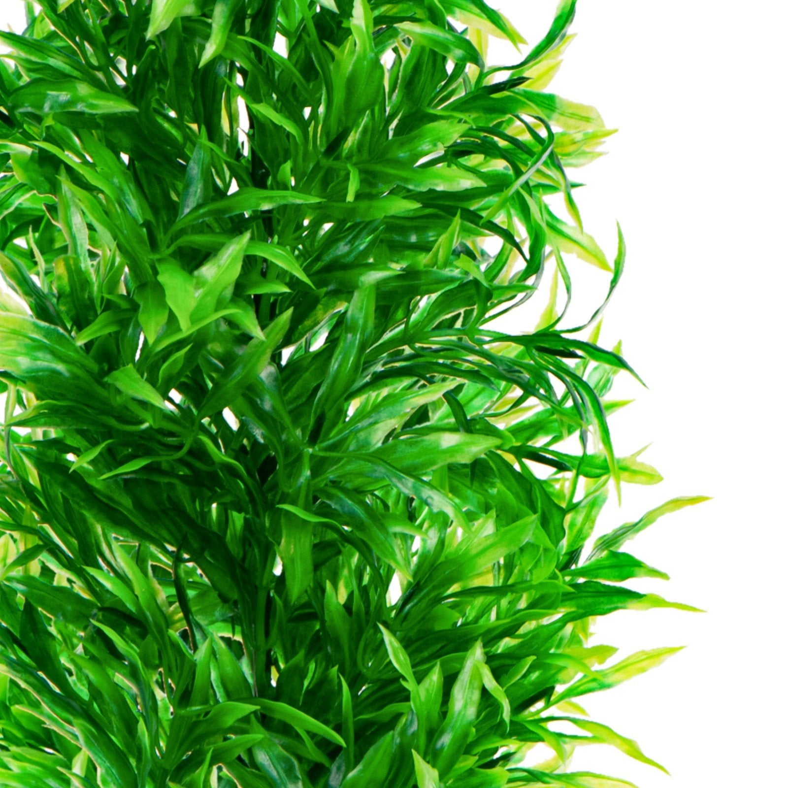 f6ac196869a88db8dcc13bac4403f95b