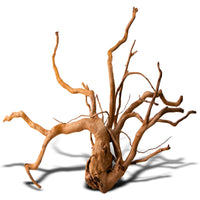 5f1c187a3ff06996cf7aa4cf306fcc99