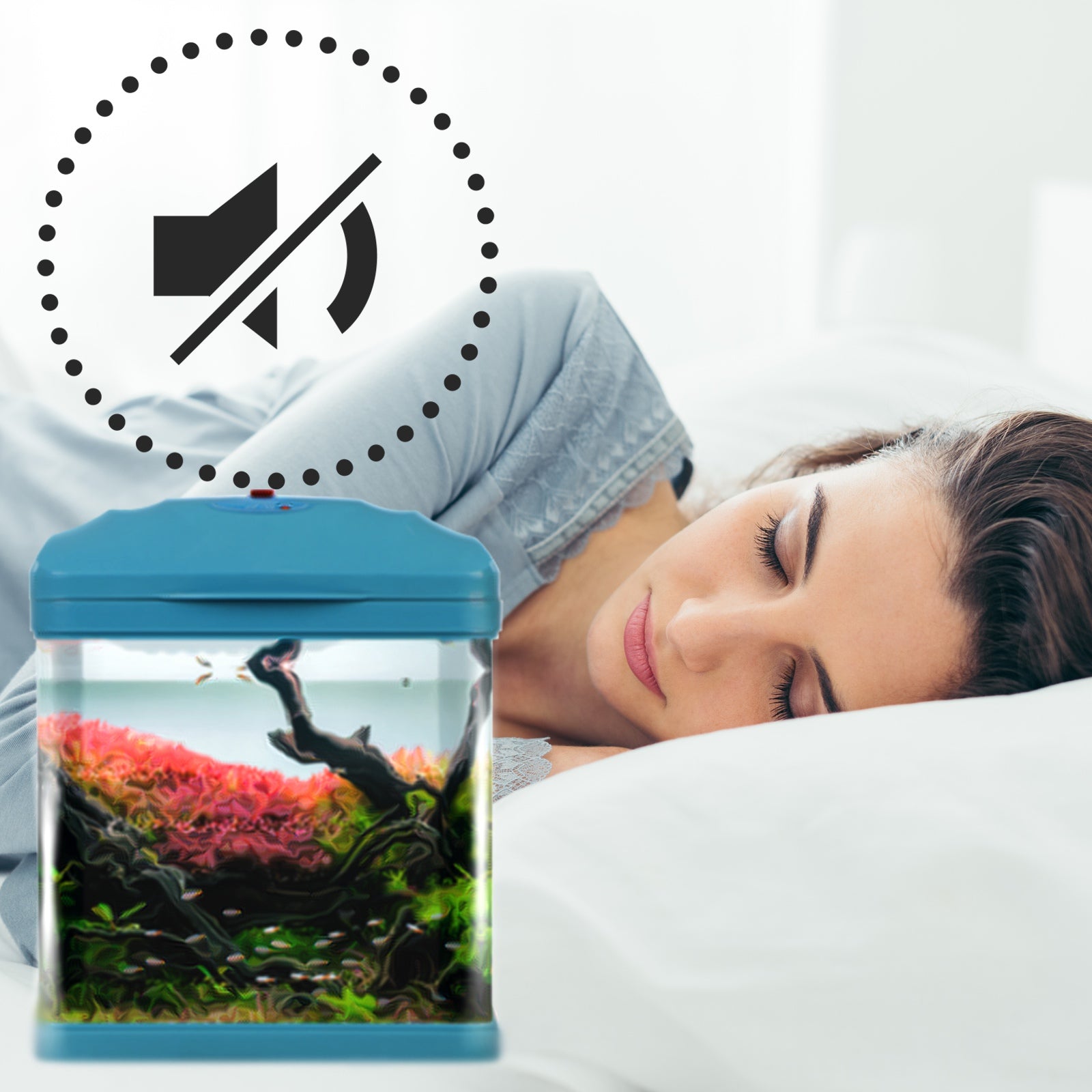 8073bd52f8ea3382dbb14e24fa927ddd