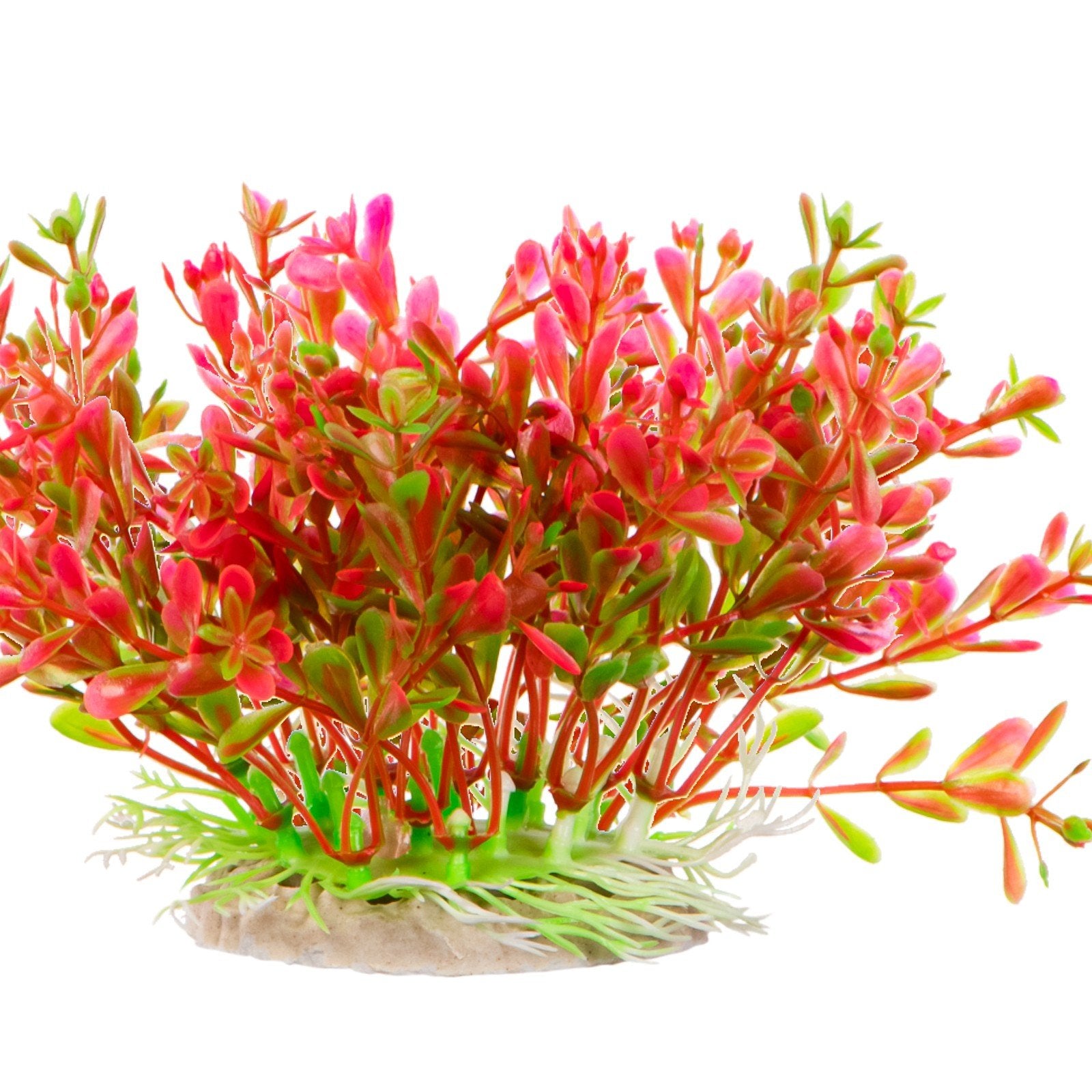 d0c2ef737cf05fb632381444e2da3a88