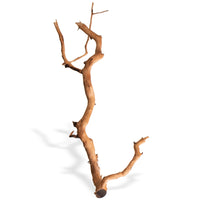 74a925b5a731bc43956c0f3771179599