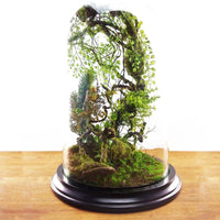 bb9fc6cbf62a5ff41a46e718d8c98b15