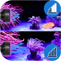 f6c1949529b078850d014e7c18b90009