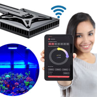 68be995925250b4885e9497c398d6bbc