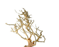 3fb998f8a742c9dc17aaffbf9748ec5c