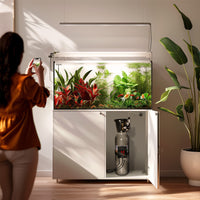 2c7f84154450fc791a8e0b27dc93000d