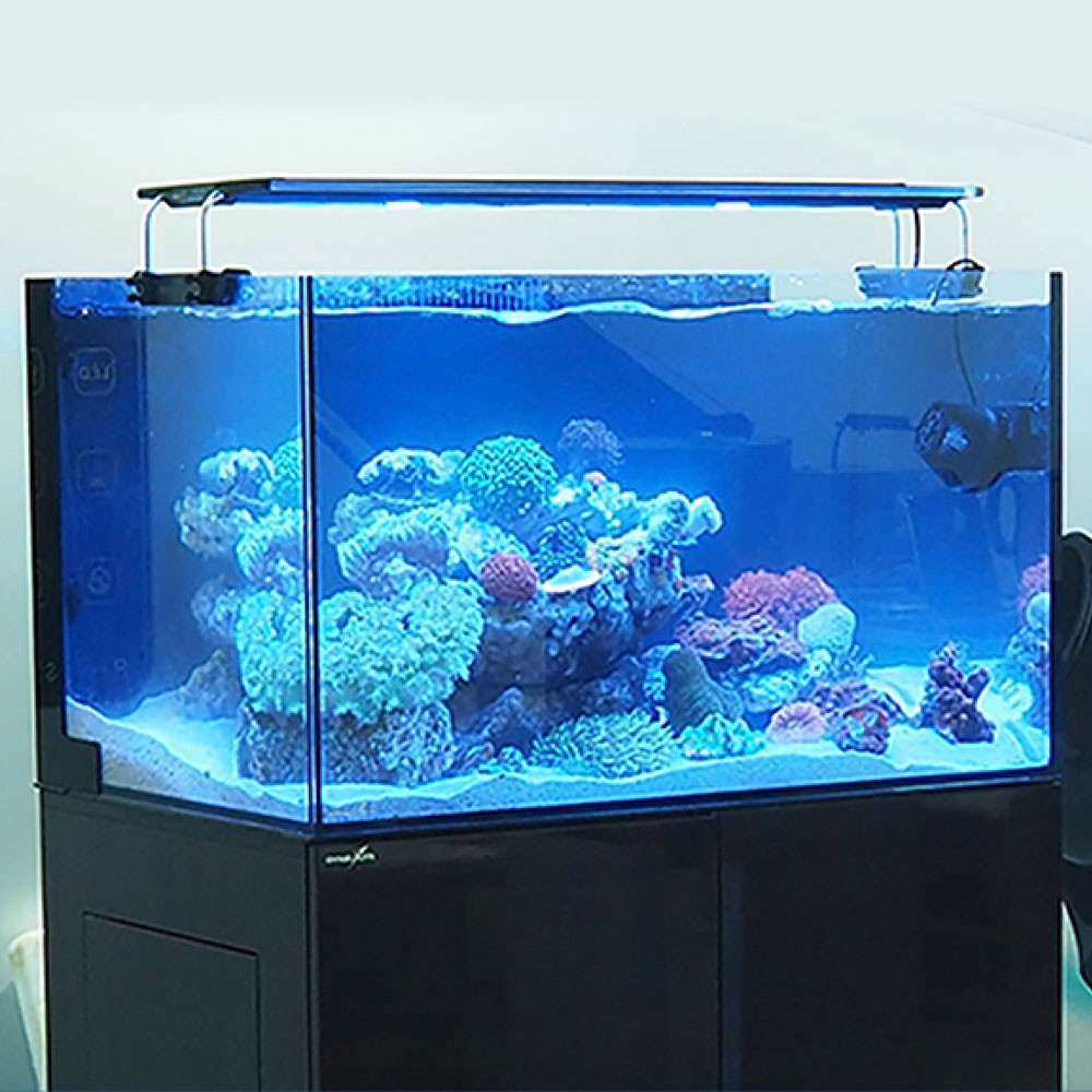 5a2420356b0e10b4484977d134eb99be