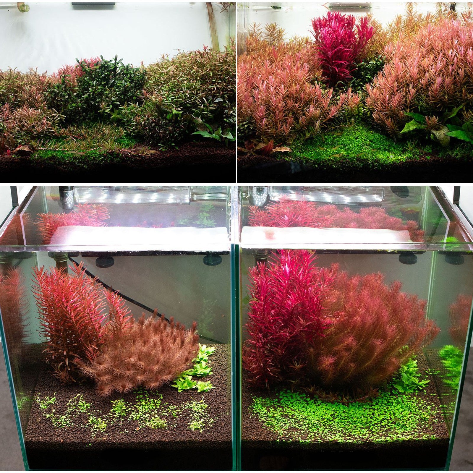 73afcea4763869bb4bed1a756c9fd5fa