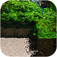 e879c134ba37d41488574ca2ca9acfb6