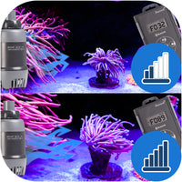 d83dbb6b3fa54a400c99255add911fb8