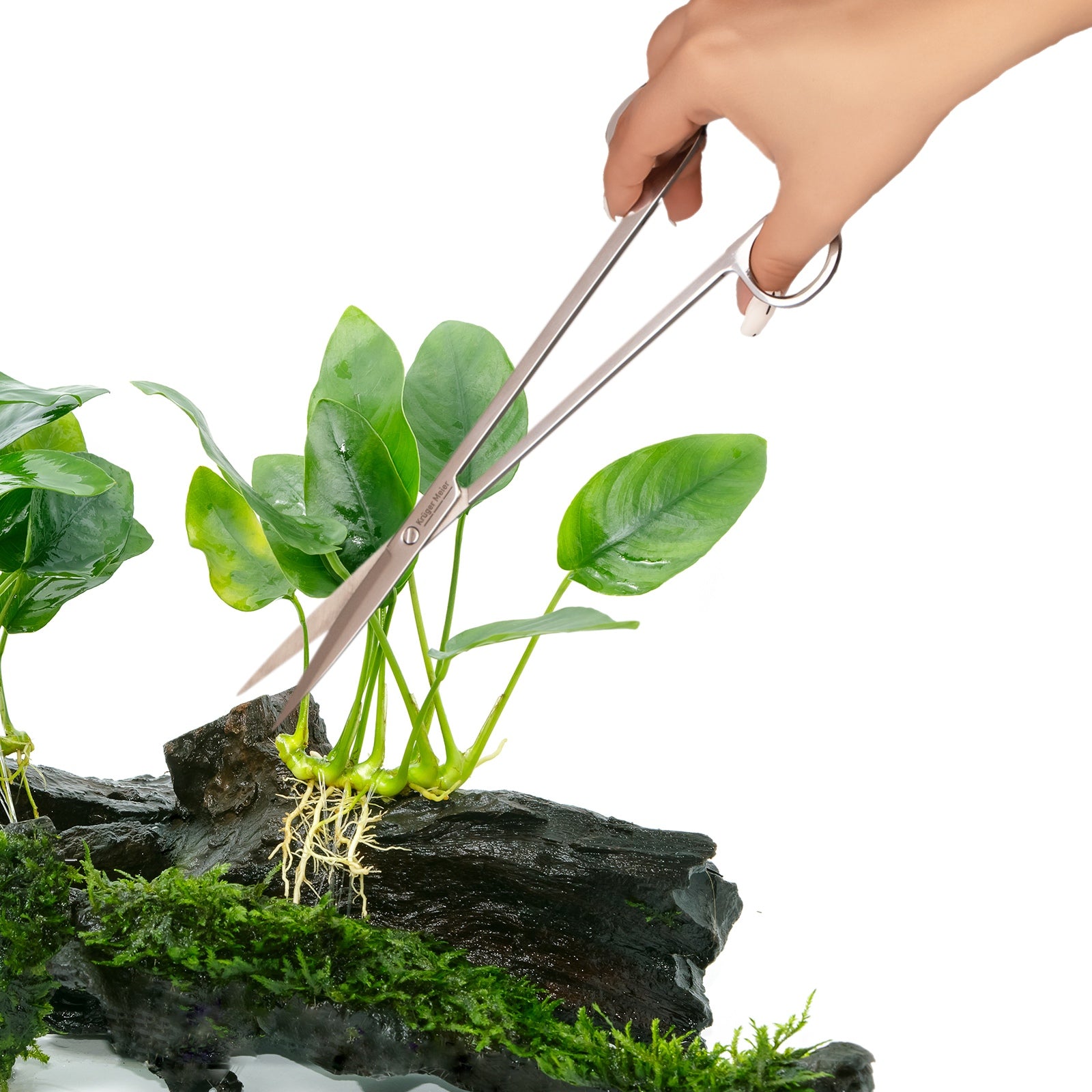 4834716a283e4c25c168d9a458858282