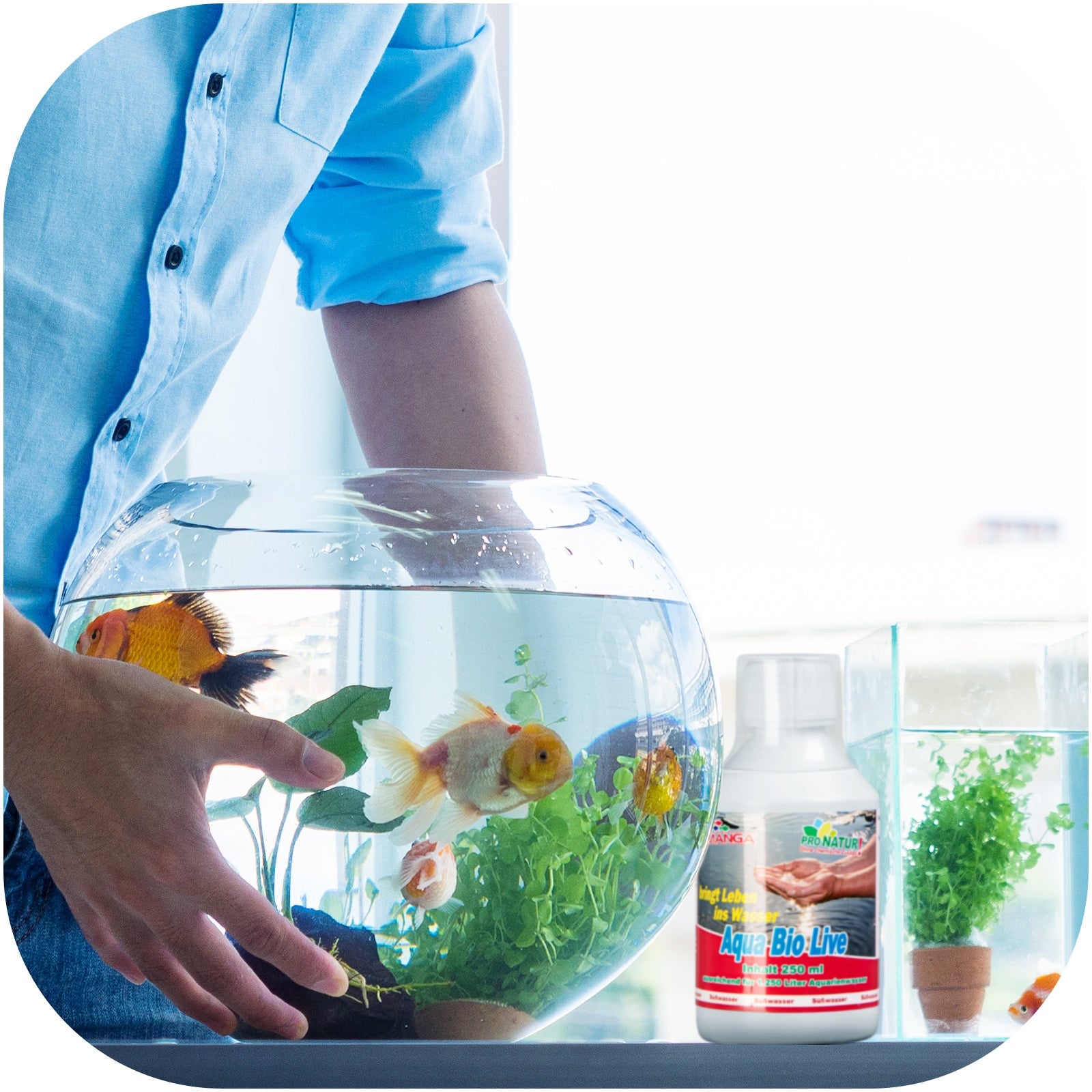 efcd8cc4d990949f760bd5a4df51e926