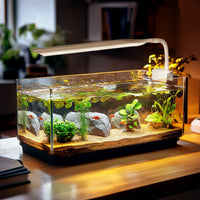 2bf1bb6c1a55a69ea085567b3f826539