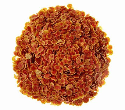 1964b3686600e476900a1b448cc452f5