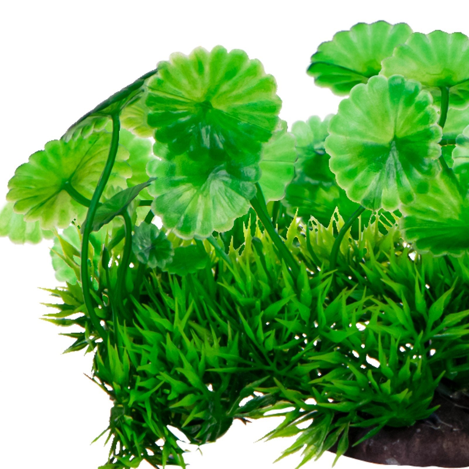 61f852a08341b2fe4c26d49ddd568135