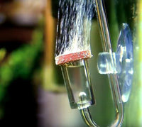 51d6d322a2dbd6b23f17947b2c6abe21