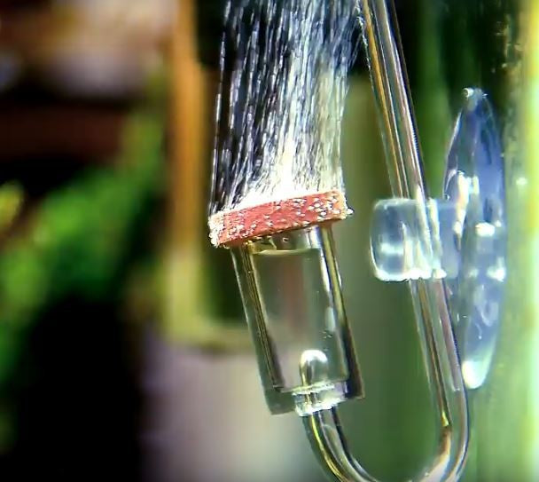 51d6d322a2dbd6b23f17947b2c6abe21