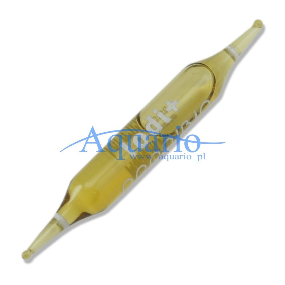 2a4ccf00a5e103fbc66ce2db21e32e84