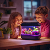 784560620358b7e07b6cc89c4a64c500