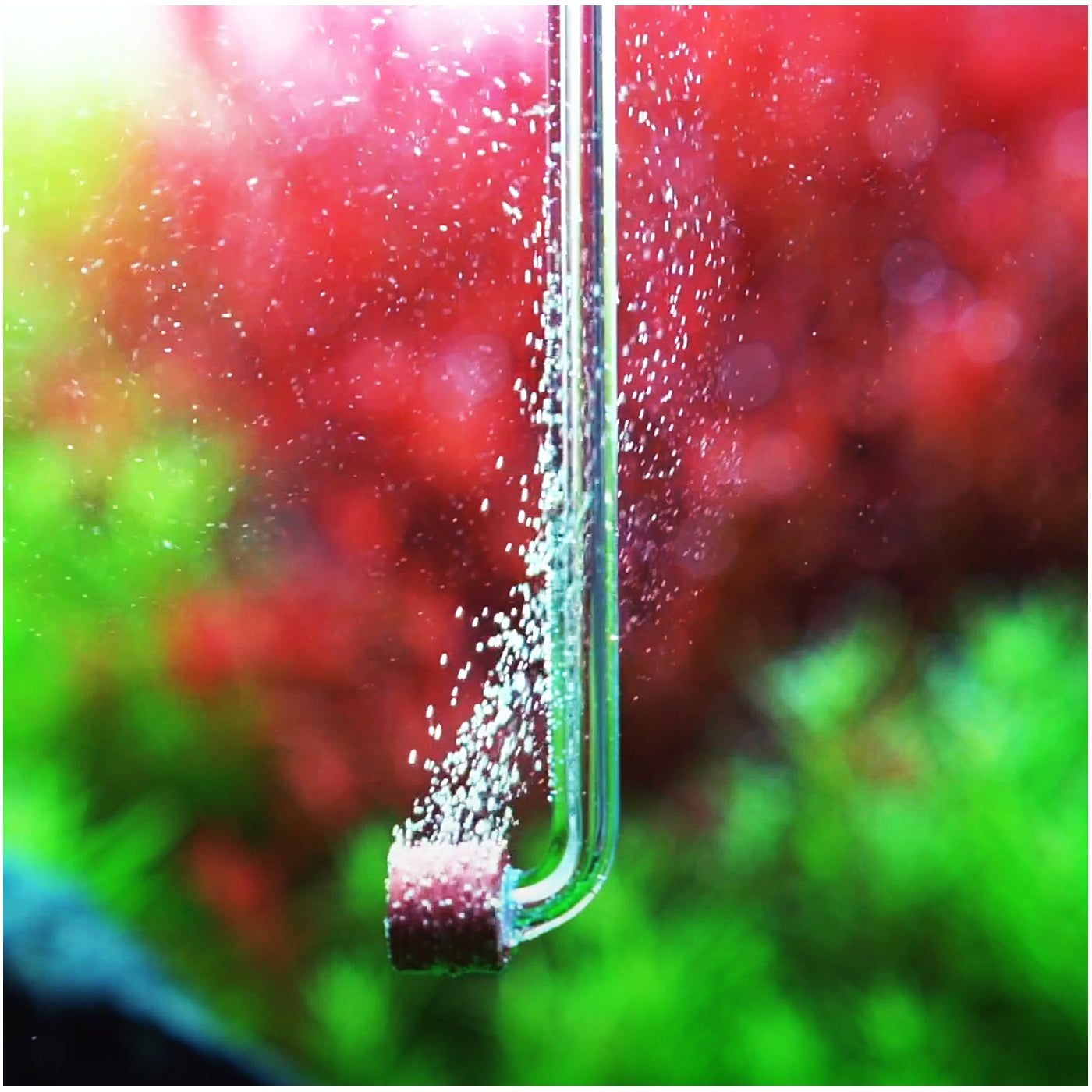 8d04d999e9fcb52a277f9f6b2f17c26a