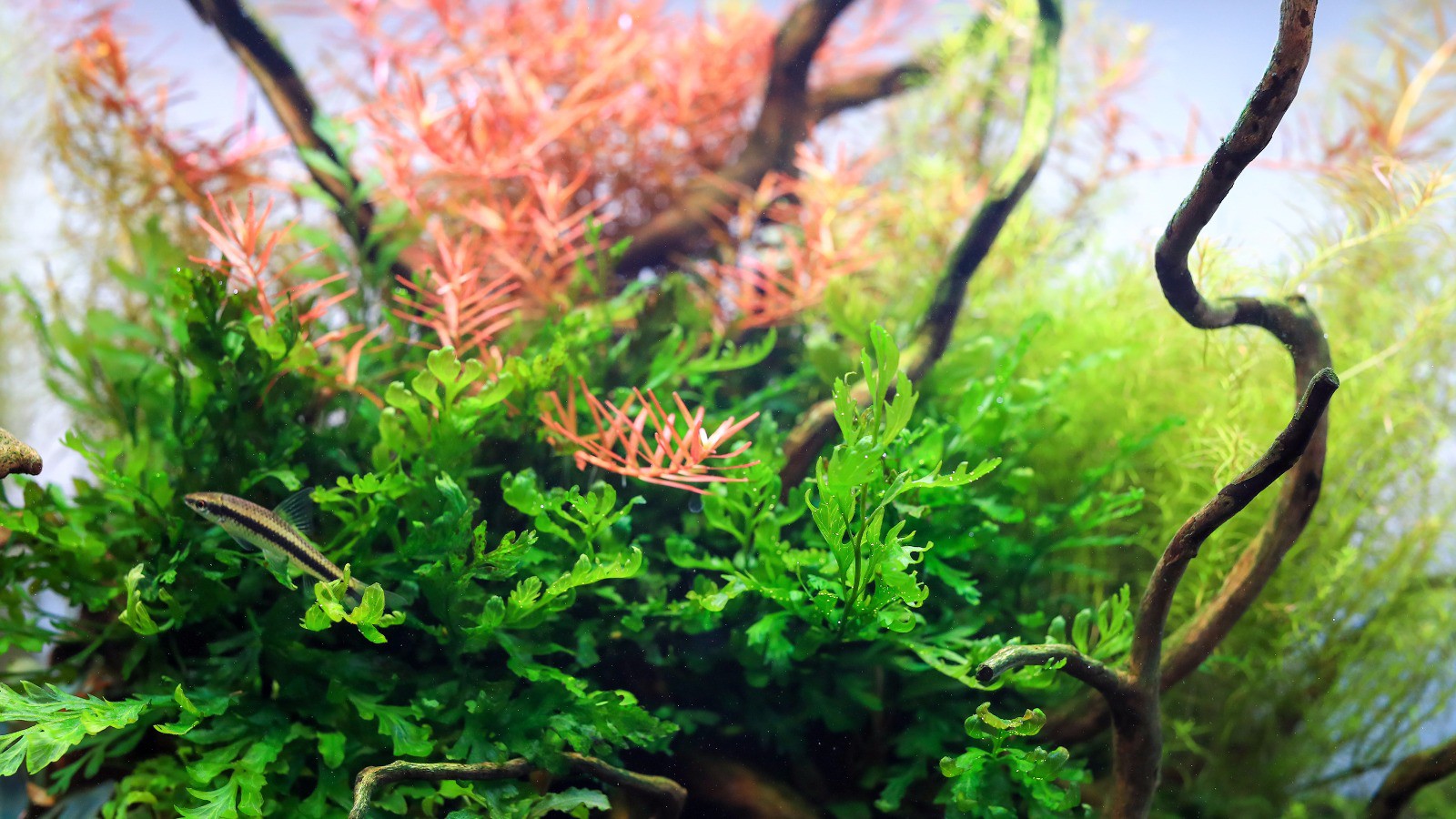 0a3d3e82d496656b4f2849e92771d926