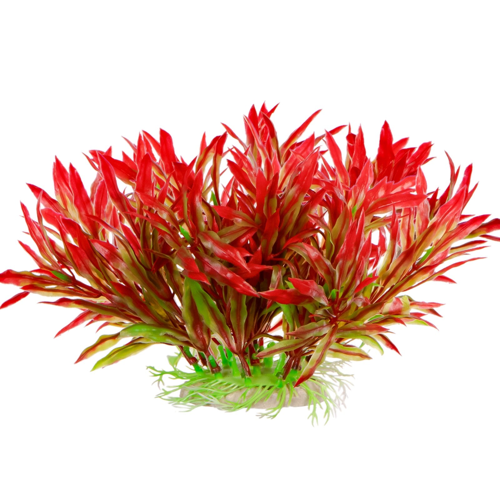 306b1f488237eb4799a7454b3d891570