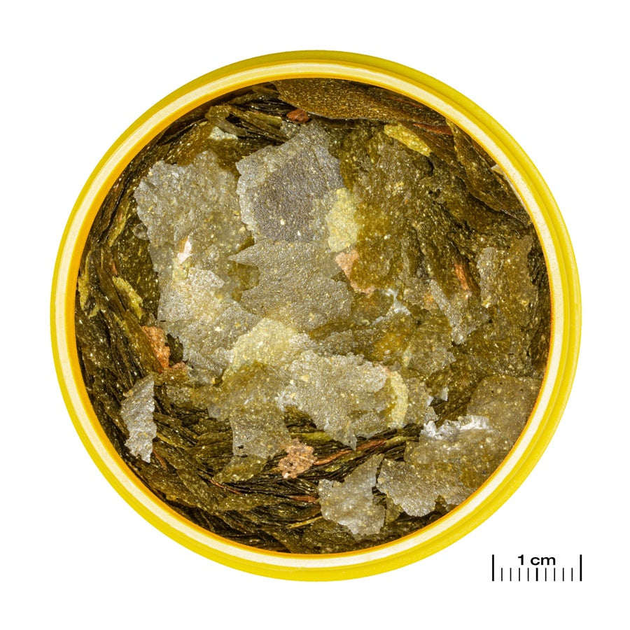 264af6a5ee50dabc94e32ab90e530ee7