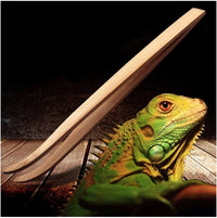 3f3a6bf9cfd867184ec8c859da1a6892