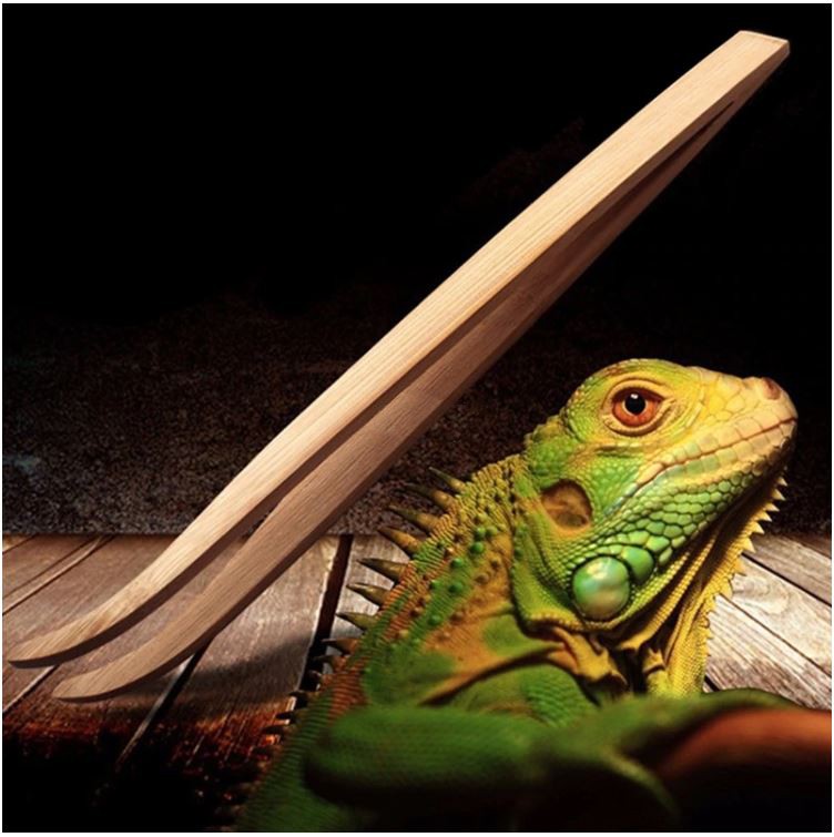 3f3a6bf9cfd867184ec8c859da1a6892