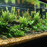 cdf63274c74cae37af4f582a3bd9a8f7