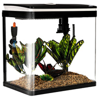 37cc74ea6272edb20186a984c67f09fe