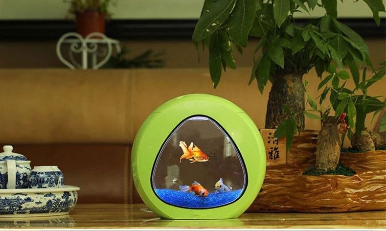 c37a1530823fb7f32fb3300a395a6d88