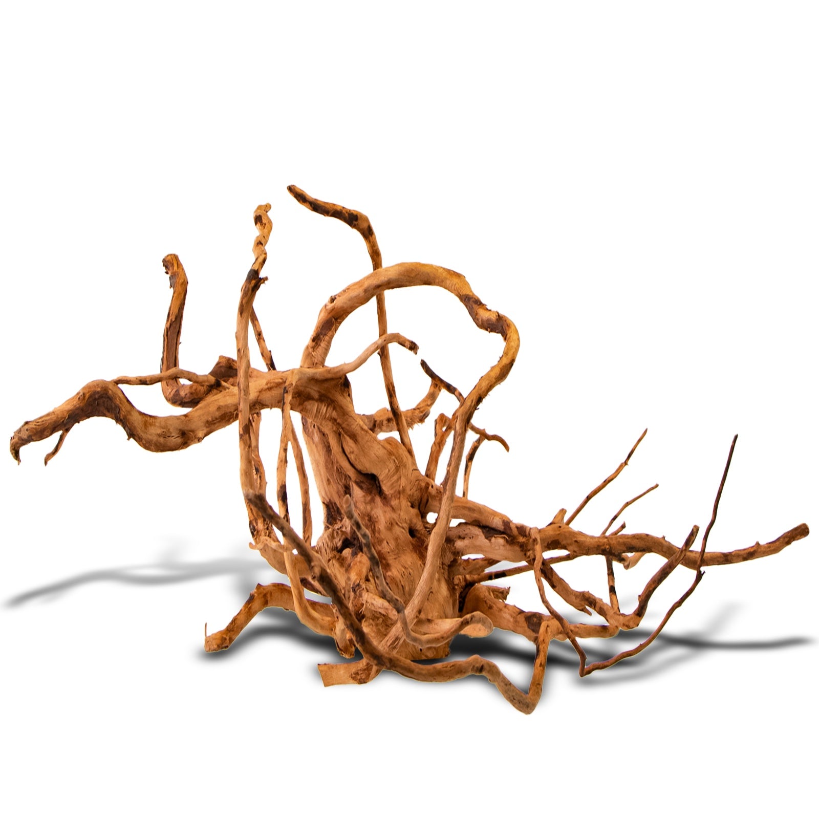 edf4306844601d65ce934482ed8a7575