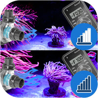 b6f04dc2830e71209e48b2c9fa0a0293