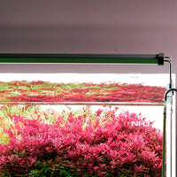 5702d312ede1584bdc1ec7e4486f2c15