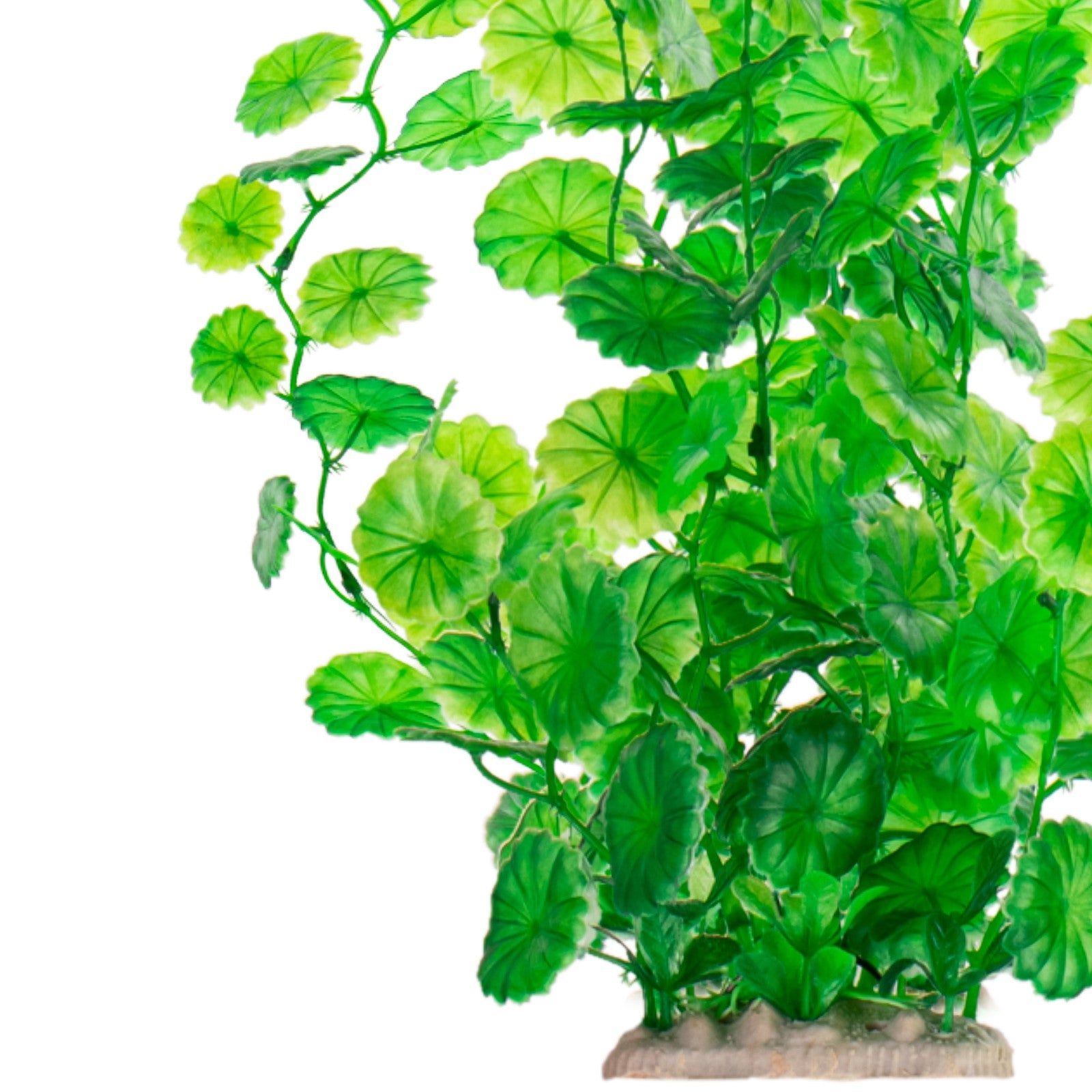 4c2ddd1b817d7f4b5ab4f32bd8d445dd