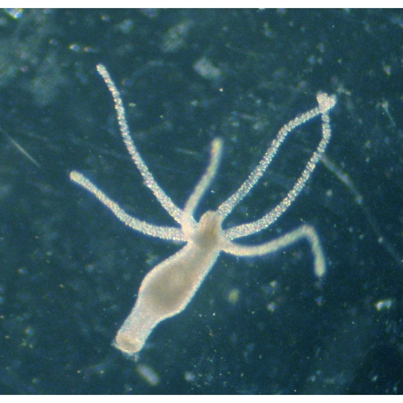 1dee55f5f2d2788e3e58f28b5d1cc4ef