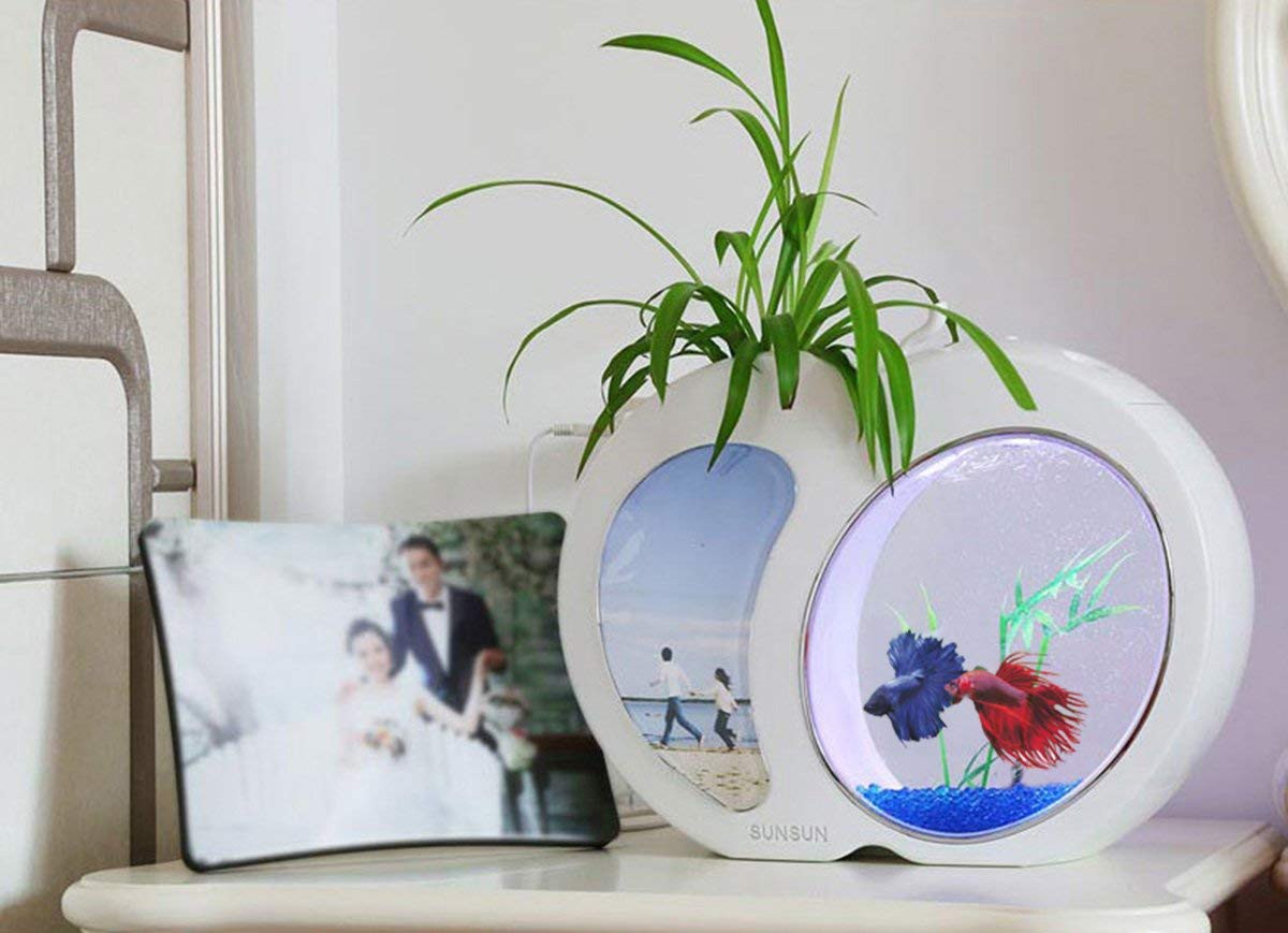 a907b2f2e654be6e78068230d3285fe0