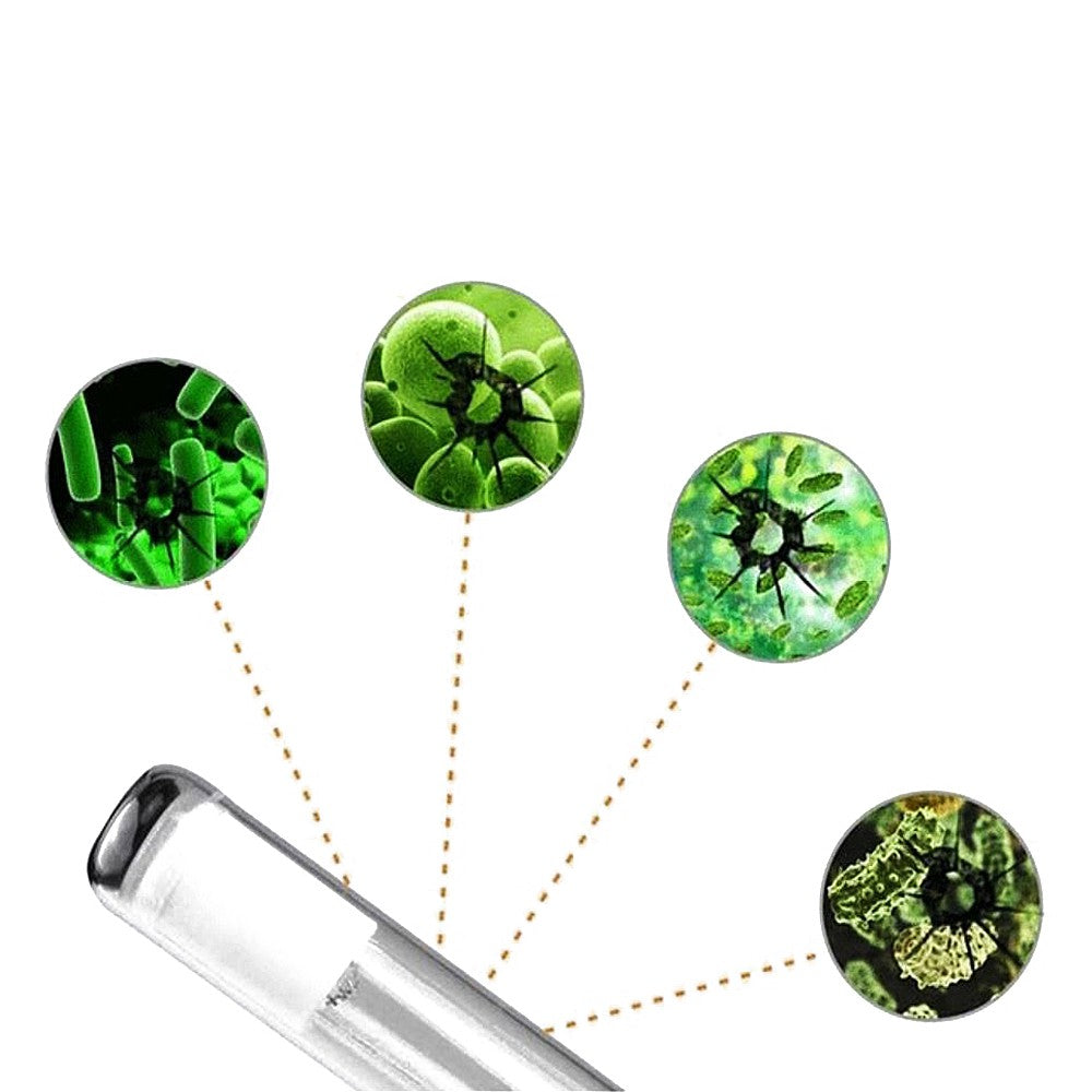 32bd8282f4800c412942454aedbae5db