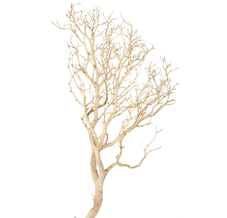 fee674d9250d979933801e2e44aeeefb