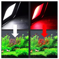 ea6accef35d64cd59b75e831c8db30ed