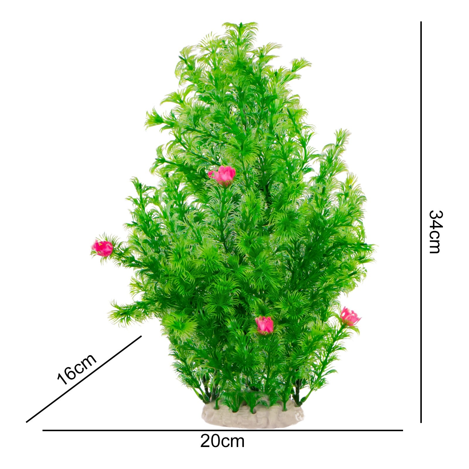 5b4b78a3c531df1452eeeb9a2952722a